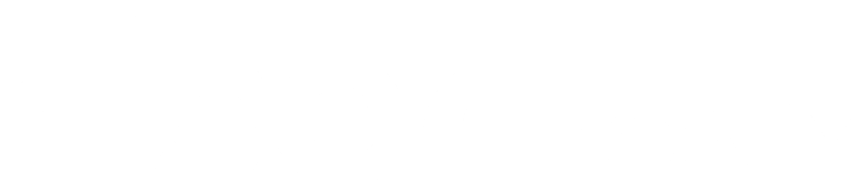 RISER.domy logo